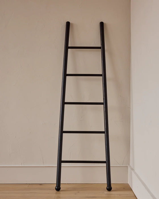 Black Bloak Ladder
