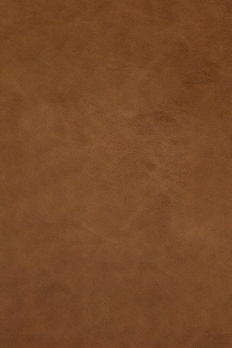 N701 Modular Sofa Set in Aniline Leather